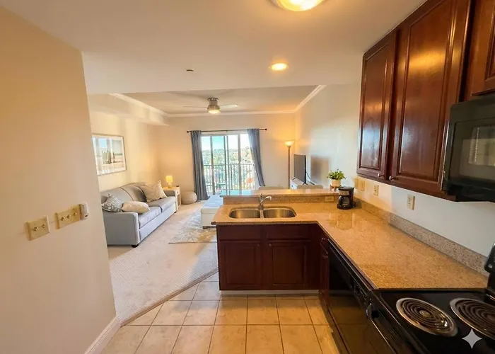 Apartment Walk To Fsu, Downtown & The Capitol-prime Location *