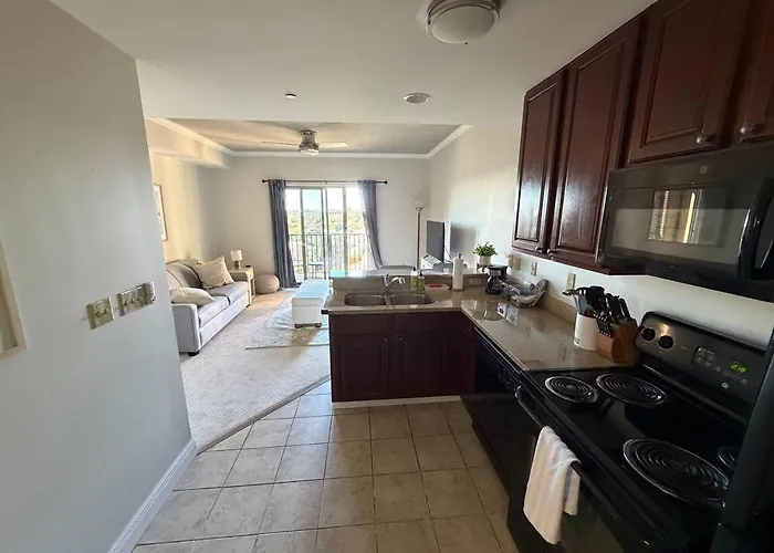 Apartment Walk To Fsu, Downtown & The Capitol-prime Location