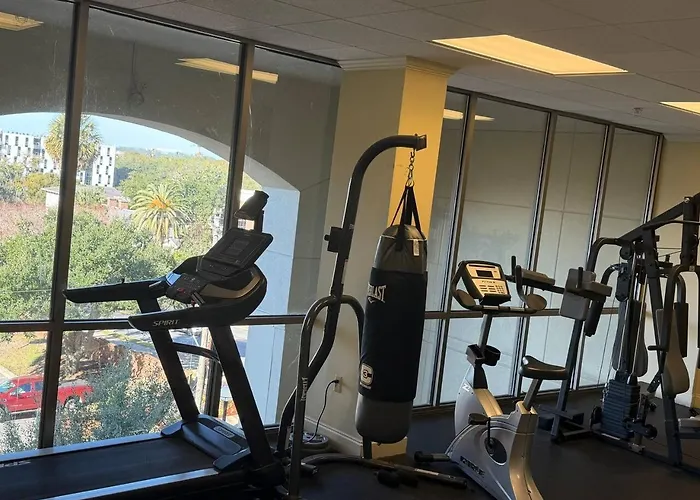 Walk To Fsu, Downtown & The Capitol-prime Location Apartment *