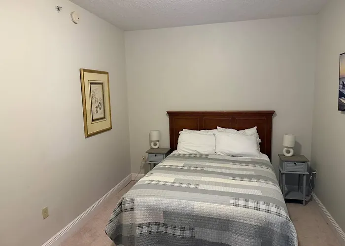 Walk To Fsu, Downtown & The Capitol-prime Location Apartment *