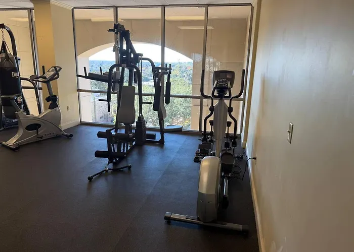 Walk To Fsu, Downtown & The Capitol-prime Location Apartment *