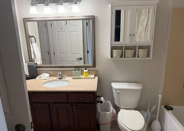 Apartment Walk To Fsu, Downtown & The Capitol-prime Location *
