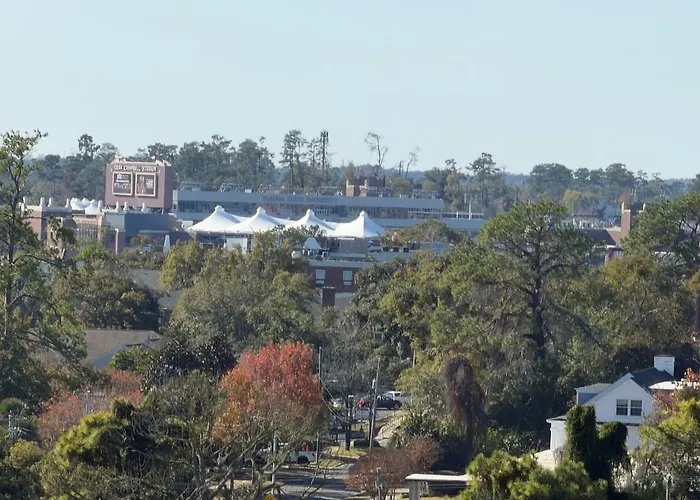 Walk To Fsu, Downtown & The Capitol-prime Location Apartment Tallahassee