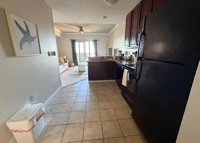 Apartment Walk To Fsu, Downtown & The Capitol-prime Location Tallahassee