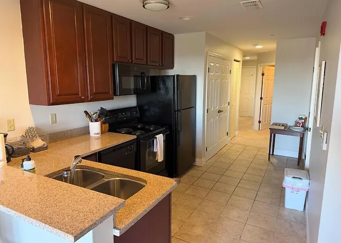Apartment Walk To Fsu, Downtown & The Capitol-prime Location