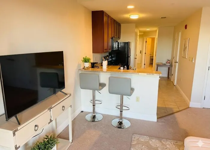 Walk To Fsu, Downtown & The Capitol-prime Location Apartment *